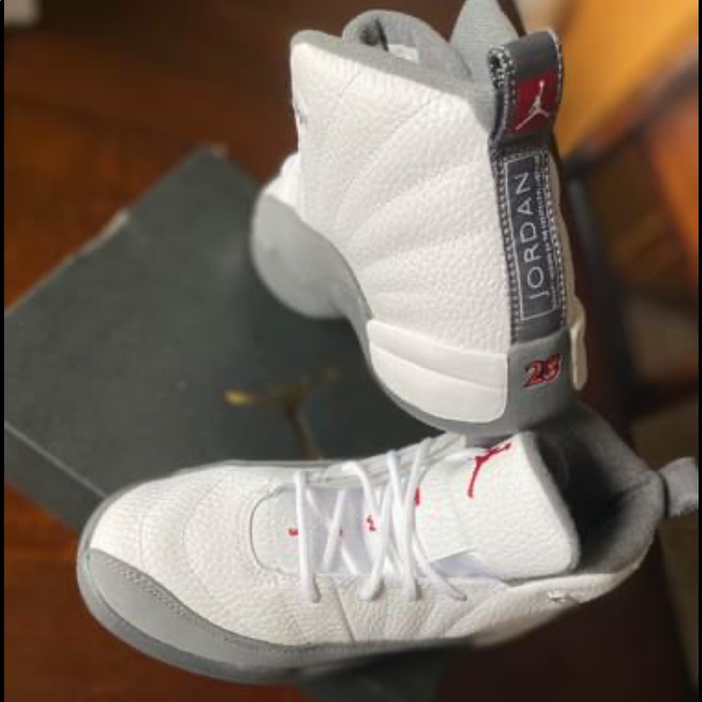 Jordan retro 12 shoes